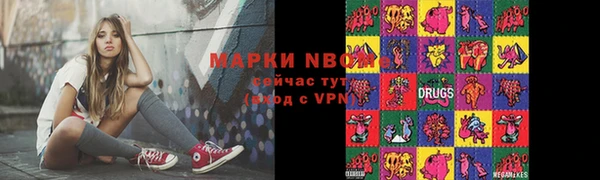 хмурый Абаза
