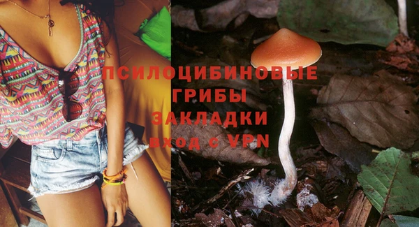хмурый Абинск
