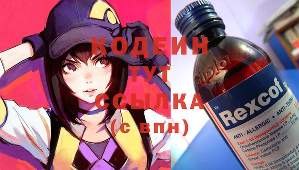 хмурый Алзамай