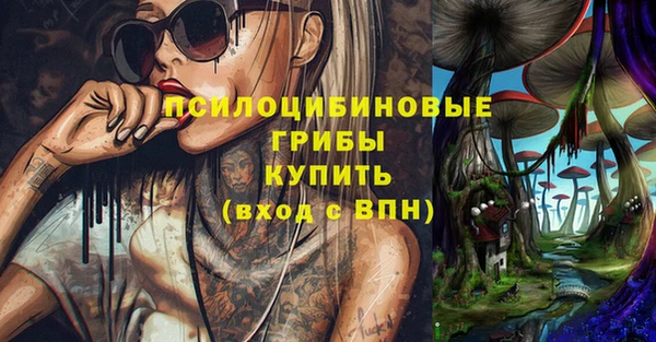 хмурый Абаза