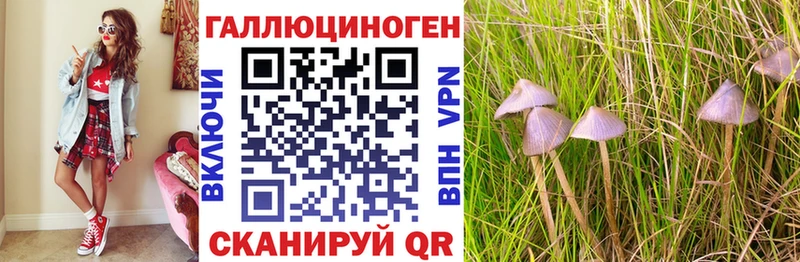 Галлюциногенные грибы Magic Shrooms  где купить наркотик  Игарка 